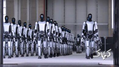 روبات مرزبان