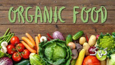 غذای ارگانیک