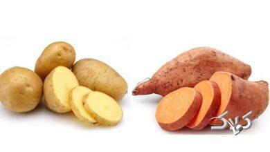 سیب زمینی شیرین و زرد