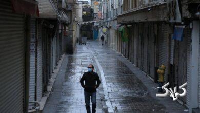 مستند درباره امیر نادری