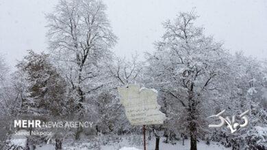 بارش برف پاییزی روستاهای سلماس را سفیدپوش کرد