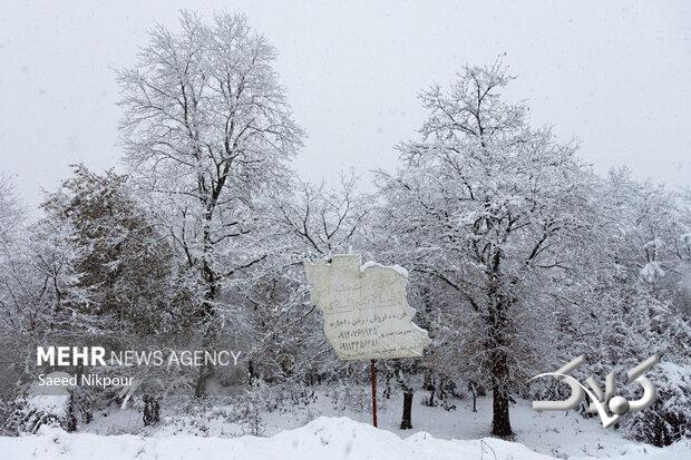 بارش برف پاییزی روستاهای سلماس را سفیدپوش کرد