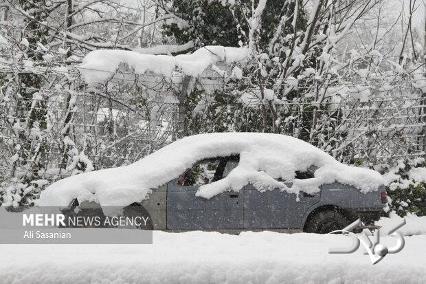 بارش اولین برف پاییزی چهره تکاب را سفیدپوش کرد