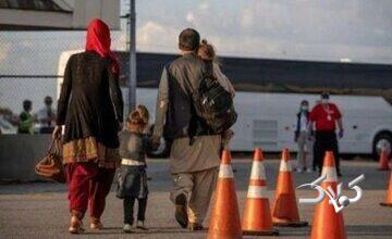 ناسازگاریِ برخی مجریان و ماموران داخلی با قوانین مربوط به اتباع خارجی