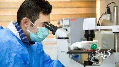 تشریح برنامه‌های هفته پژوهش، رشد ۱۰ برابری تعداد دانش‌آموزان پژوهشگر