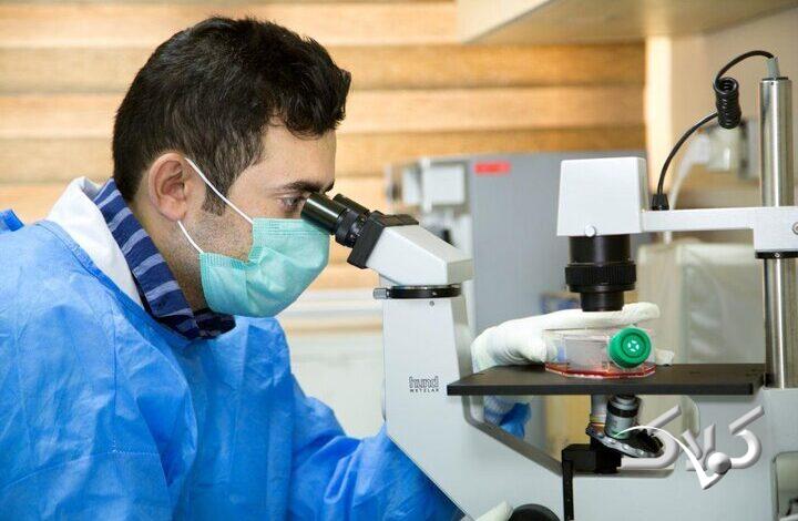 تشریح برنامههای هفته پژوهش، رشد ۱۰ برابری تعداد دانشآموزان پژوهشگر