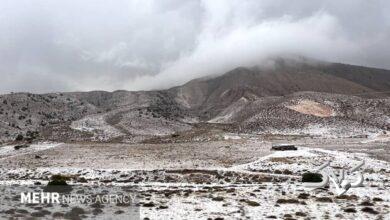 بارش برف چهره شهرهای آذربایجان غربی را سفید پوش کرد