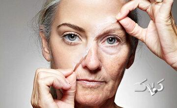 با خوردن این مغز دیرتر پیر میشوید