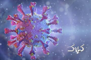 هشدار؛ افزایش موارد عفونتهای تنفسی در کشور