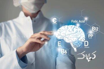 ویتامینها و مکملهای تقویت مغز و حافظه/ این ویتامین جلوی کوچکشدن مغز را میگیرد/ با افزایش سن، مصرف این چربی را بیشتر کنید