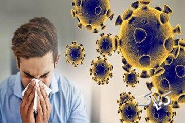 کرونای تیغی چقدر خطرناک است؟/ علائم این بیماری