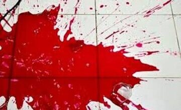 دستگیری دو برادر قاتل در تهران