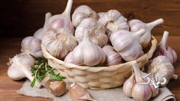 خوردن سیر خام ناشتا باعث لاغری میشود؟