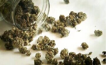 هشدار درباره مخدرهای جدید؛ «کِمیکال» و «بنزای» خطرناکتر از گل