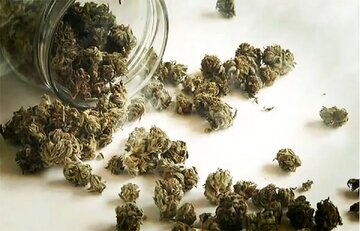 هشدار درباره مخدرهای جدید؛ «کِمیکال» و «بنزای» خطرناکتر از گل