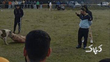 این چهار نفر بازداشت شدند/ماجرا چیست؟