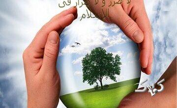 نگاه اسلام به بحران محیط زیست؛ همه افراد مسئولند