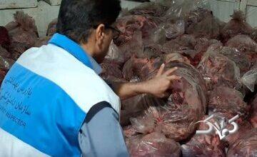 توقیف ۱۵۰۰ کیلوگرم گوشت مخلوط اسب و گاو در این شهر جنوبی