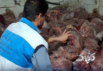 توقیف ۱۵۰۰ کیلوگرم گوشت مخلوط اسب و گاو در این شهر جنوبی