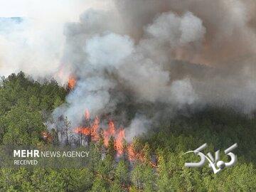 آتشسوزی گسترده در جنگلهای شمال کشور/ اعزام سه هلیکوپتر اطفای حریق برای نخستینبار