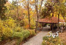 تماشای پاییز در پارک‌های تهران/ از لویزان تا پردیسان؛ معرفی ۵ بوستان جذاب برای تهرانگردی آخرهفته