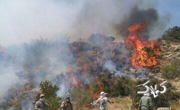 پایان عملیات اصلی اطفای حریق جنگلهای مازندران/ لکهگیری همچنان ادامه دارد