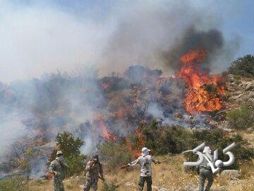 پایان عملیات اصلی اطفای حریق جنگل‌های مازندران/ لکه‌گیری همچنان ادامه دارد