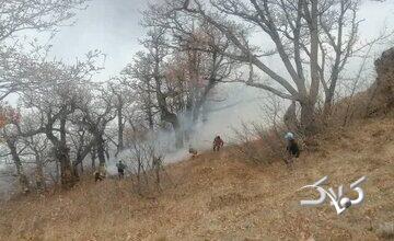 ادامه عملیات مهار آتشسوزی گسترده در جنگلهای الیت چالوس