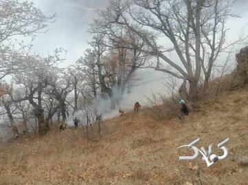 ادامه عملیات مهار آتشسوزی گسترده در جنگلهای الیت چالوس