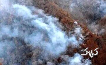 نماینده مجلس: هواپیماییهایی که از ترکیه آوردهاند توانستند تا حدی آتش را مهار کنند/ امروز باید این وضعیت تمام شود