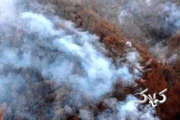 نماینده مجلس: هواپیماییهایی که از ترکیه آوردهاند توانستند تا حدی آتش را مهار کنند/ امروز باید این وضعیت تمام شود