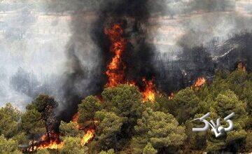 آتش‌سوزی گسترده در جنگل‌های «نمنق» جلفا