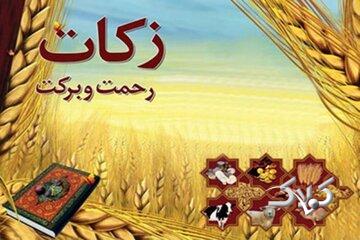 زکات راهی برای نجات جامعه از فقر و تبعیض