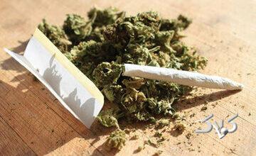قدرت مخرب‌ ماده اعتیادآور «گل» در ایران/ ممنوعیت مصرف گل در بسیاری از کشورهای پیشرفته دنیا