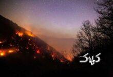 راست قامتان جنگلهای چندمیلیون ساله سوختند و مسئولان ریلکس بودند؛ یکی هم گفت علفزارها آتش گرفته