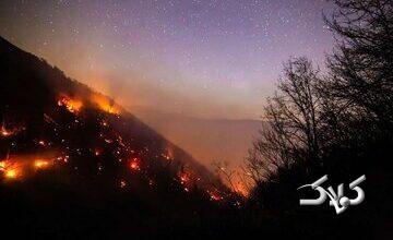 راست قامتان جنگلهای چندمیلیون ساله سوختند و مسئولان ریلکس بودند؛ یکی هم گفت علفزارها آتش گرفته
