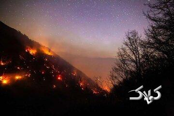 راست قامتان جنگلهای چندمیلیون ساله سوختند و مسئولان ریلکس بودند؛ یکی هم گفت علفزارها آتش گرفته
