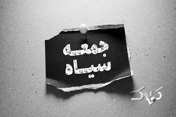 «بلک‌فرایدی»؛ روزی برای خرید یا دام کلاهبرداران؟