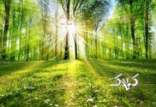 ماجرای نوری که ناگهان در بهشت می‌تابد و بهشتیان را از لذت بیهوش می‌کند