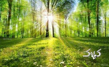 ماجرای نوری که ناگهان در بهشت می‌تابد و بهشتیان را از لذت بیهوش می‌کند