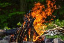 پاسخ عجیب امام علی(ع) به شبهه یک مسیحی