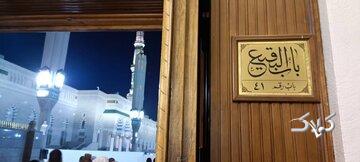 حضرت زهرا(س) در خطبه فدکیه به ۳۹ آیه استناد کردند