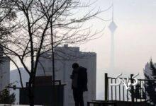 اثرات خطرناک PM۲.۵ بر بدن بزرگسالان/ کارگران و کارمندان؛ قربانیان خاموش هوای سمی تهران