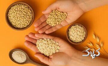 برنج دوست دارید؟ این‌بار جو را امتحان کنید!