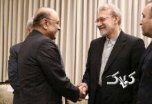 تصاویر خاص از دیدار لاریجانی با رئیس‌جمهور پاکستان + عکس
