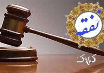 دلیل پرداخت نفقه به خانمها / آیا مرد میتواند به علت تمکن مالی زن، نفقه نپردازد؟