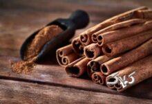 خواص و مضرات دارچین/ مبتلایان به دیابت دارچین مصرف کنند؟