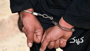 عامل آتشسوزی جنگل های هیرکانی دستگیر شد