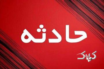 عابرپیاده از ترس سگ وارد بزرگراه شد و جان باخت