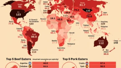 سرانه مصرف گوشت در سال ۲۰۲۲ فائو